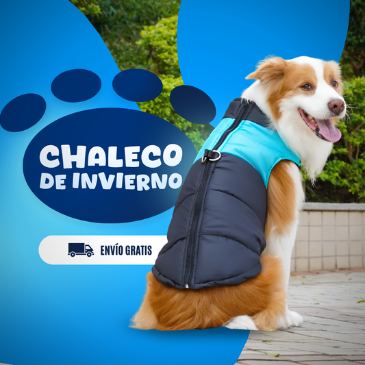 Chaleco de Invierno para Mascotas - 😲50% DE DESCUENTO😲