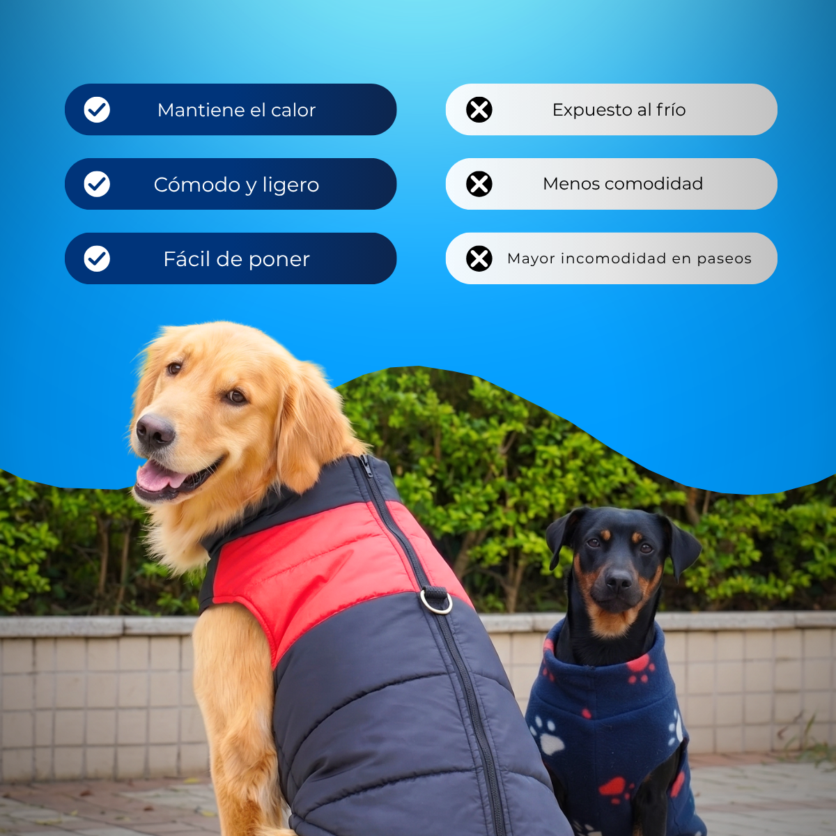 Chaleco de Invierno para Mascotas - 😲50% DE DESCUENTO😲