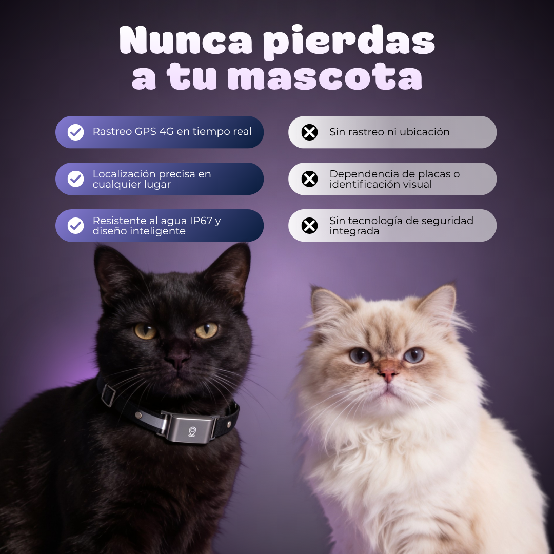 Collar Rastreador Inteligente para Mascotas GPS 4G 😲50% DE DESCUENTO😲