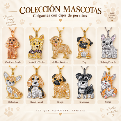 Colgante de Mascota - UNA JOYA UNICA DE TU MASCOTA 😲Lleva 2 y Paga 1😲