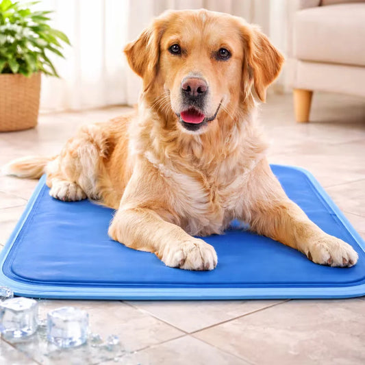 ALFOMBRA REFRIGERANTE PARA MASCOTAS - IDEAL PARA ESTOS DIAS DE CALOR 😱50% DE DESCUENTO😱